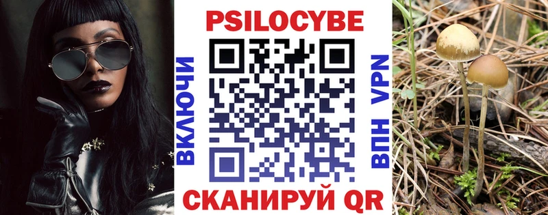 хочу   Осинники  Галлюциногенные грибы Psilocybine cubensis 